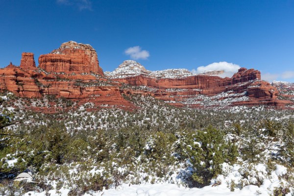 Mescal Mountain the morning after a spring heavy snowfall.
