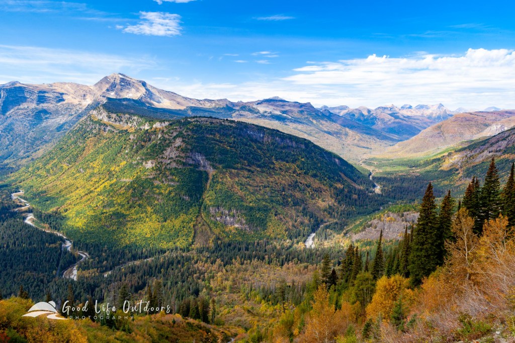 Fall color in Glacier National Park.