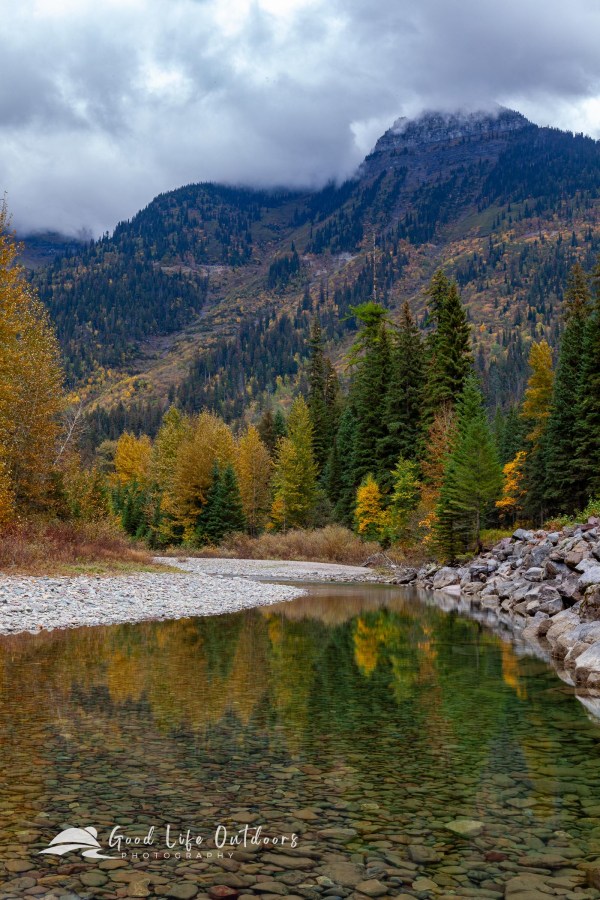 Fall color reflected on McDonald Creek in Glacier National Park.